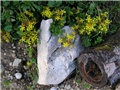 trajnice 2